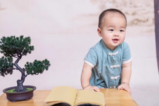 靖江可爱的企鹅宝宝